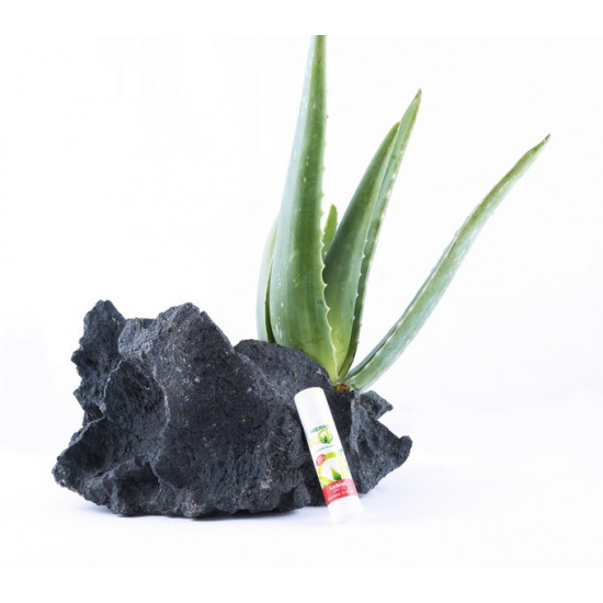 Hierro Aloe Lipstick, 5g
